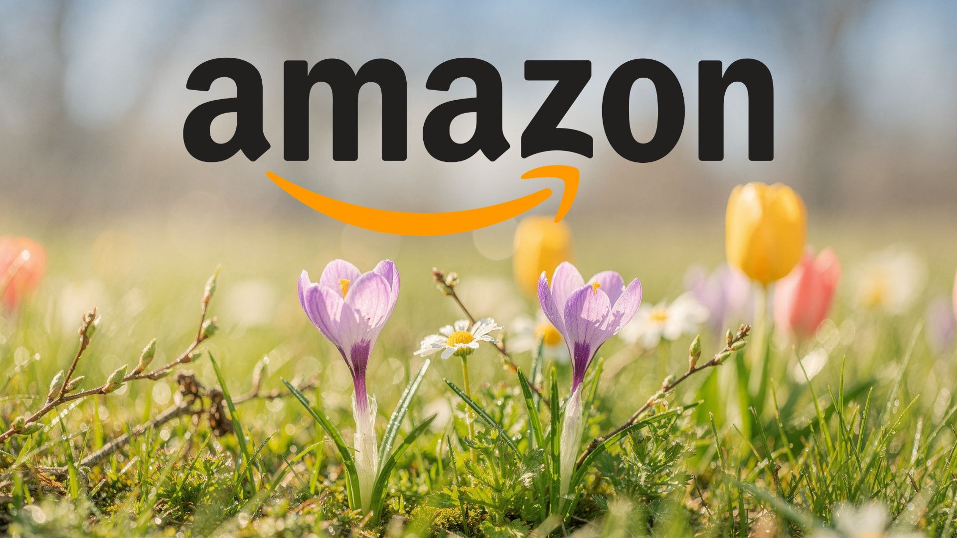 amazon prime ebook